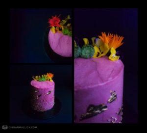 Strawberry-Cake_Food-Photography_Gibran-Mallick-Studio_Photo-Video-Web-Media-Design | GM CREATIVE STUDIO